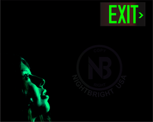 Load image into Gallery viewer, Photoluminescent Exit Signs | Pack of 2 | OSHA-ASTM-ANSI American Standard | Aluminum 14.25" x 7.5" | Weather Proof | NightBright USA Item: NCC-R II